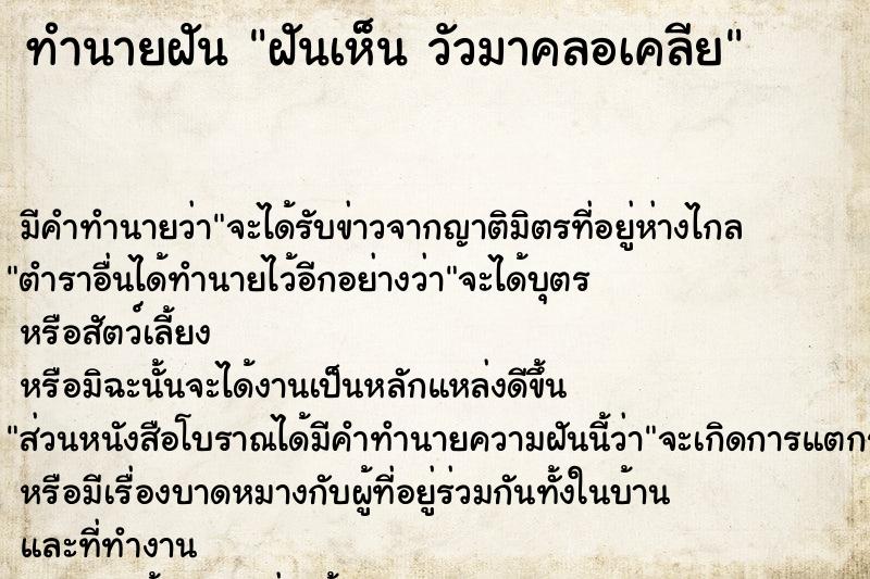 ทำนายฝัน ฝันเห็น วัวมาคลอเคลีย